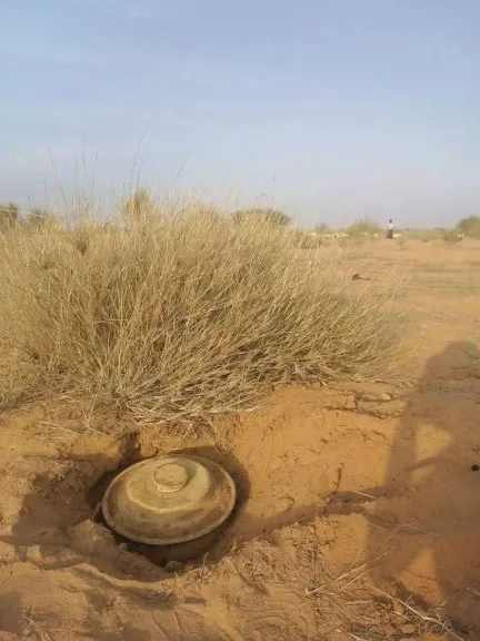 لغم حوثي يُنهي حياة ماشية مواطن ويكاد يودي بحياة طفل في قرية ”بني المش” بحجة
